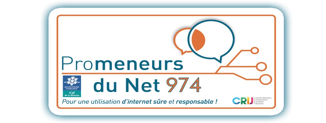 Promeneur du Net